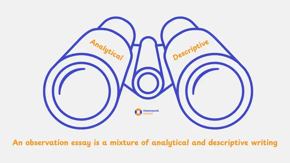 observation essay description
