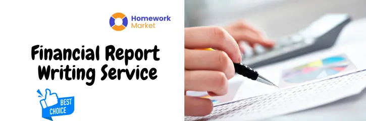 Financial Report Writing Service