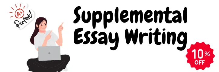 Supplemental Essay Writing