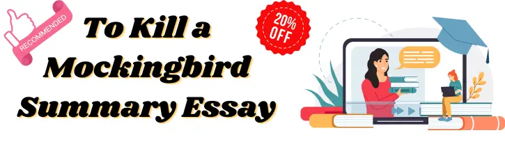 To Kill a Mockingbird Summary Essay